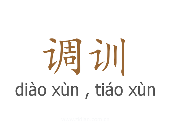调训