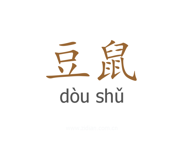 豆鼠