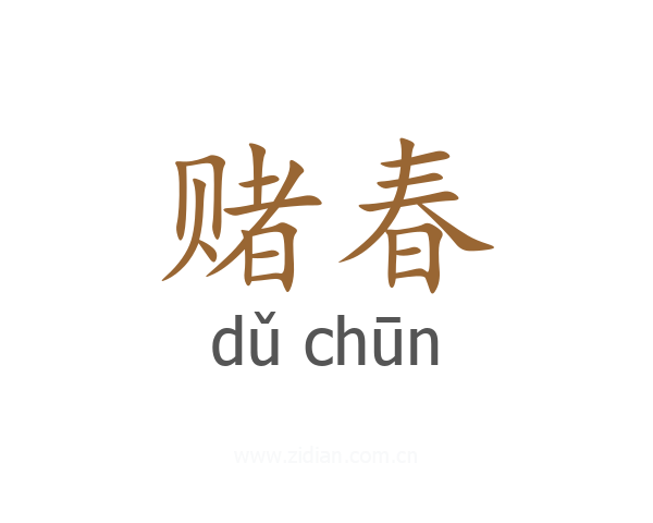 赌春