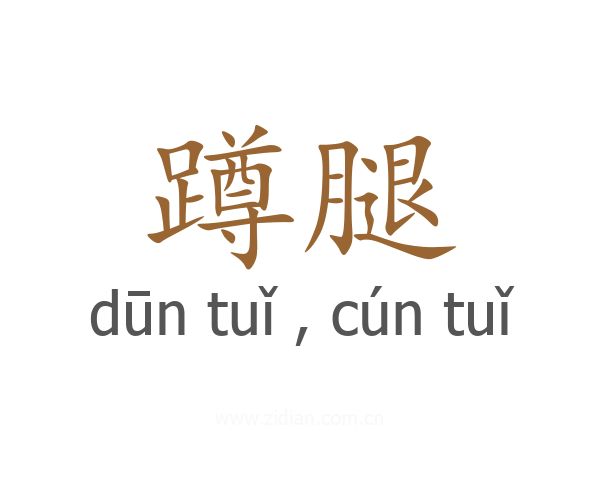 蹲腿