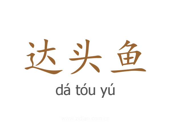 达头鱼