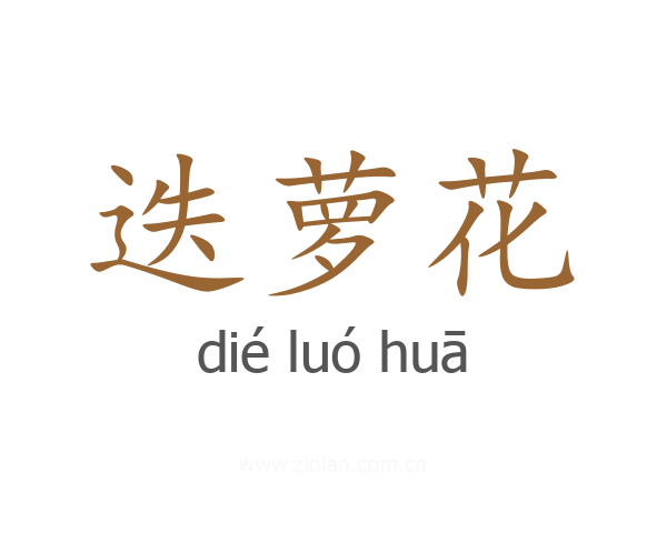 迭萝花