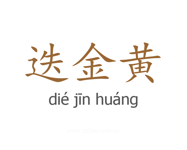 迭金黄