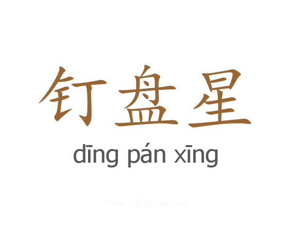 钉盘星