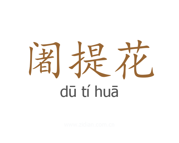 阇提花