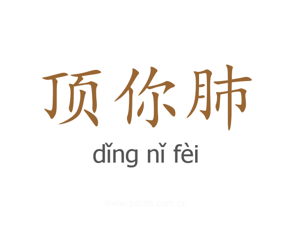 顶你肺
