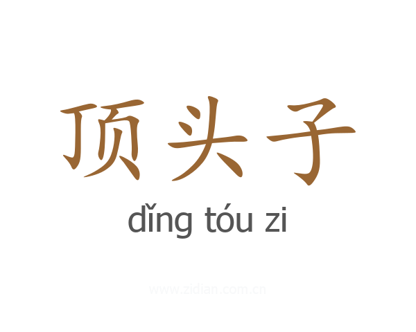顶头子