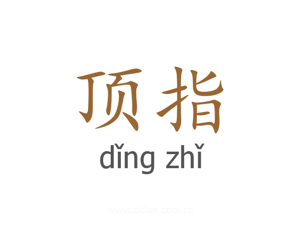顶指