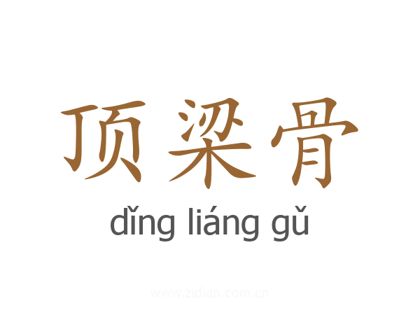 顶梁骨