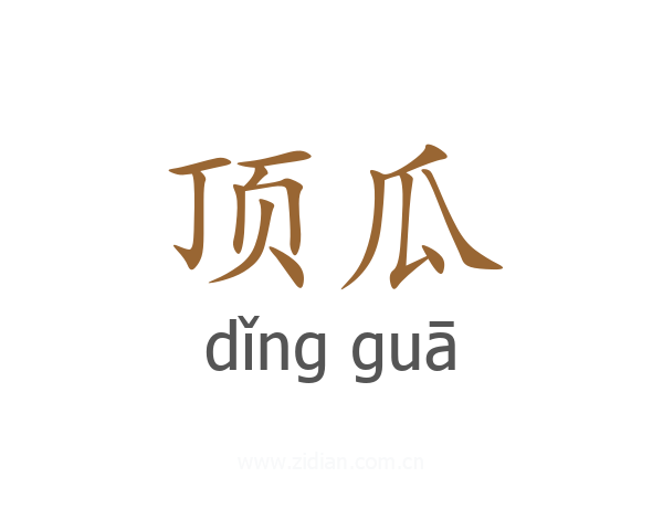 顶瓜