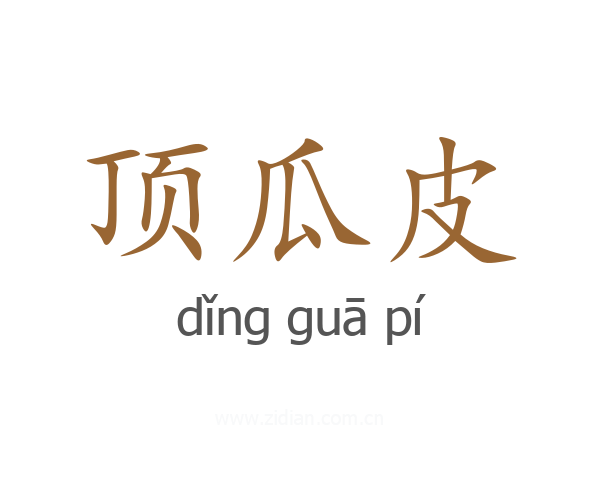 顶瓜皮