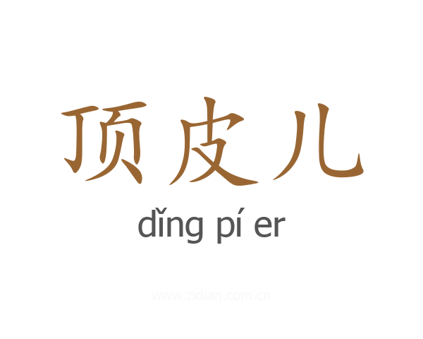 顶皮儿