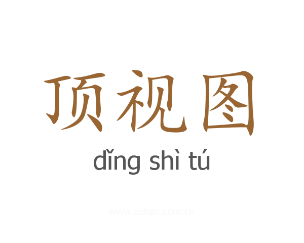 顶视图