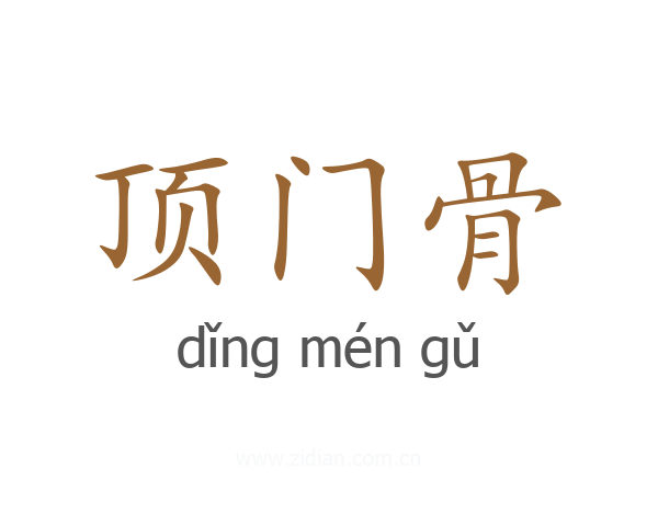 顶门骨