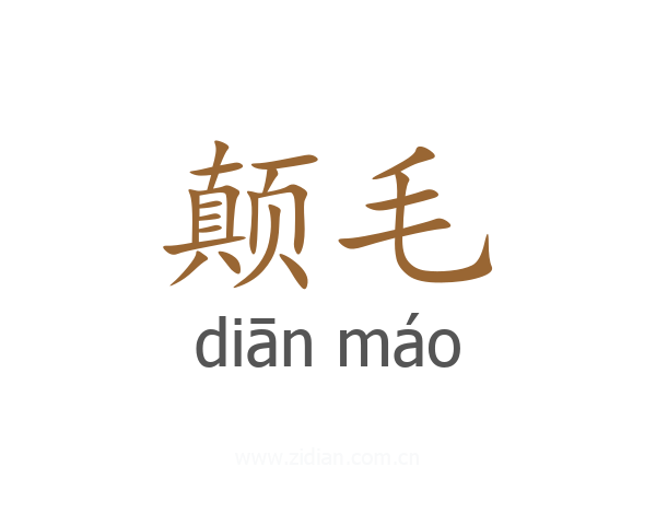 颠毛
