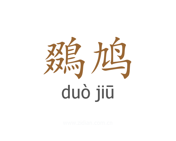 鵽鸠