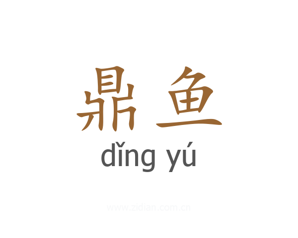 鼎鱼