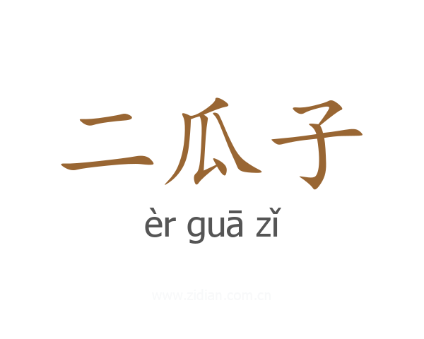 二瓜子