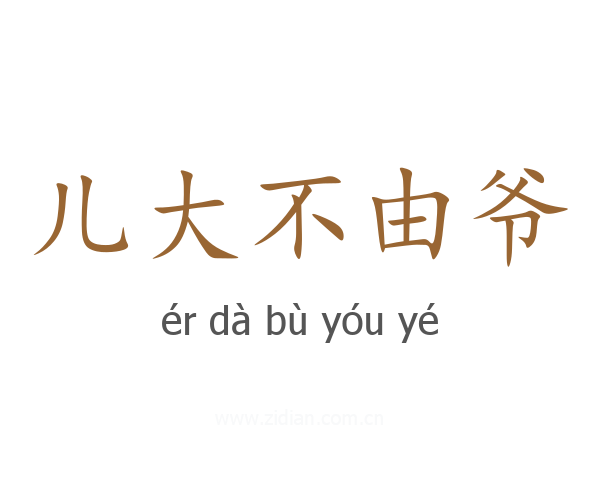 儿大不由爷