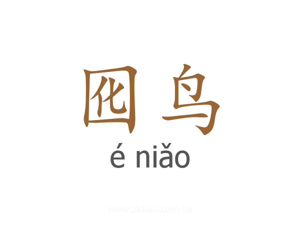 囮鸟