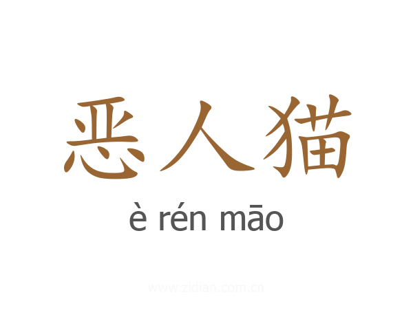 恶人猫