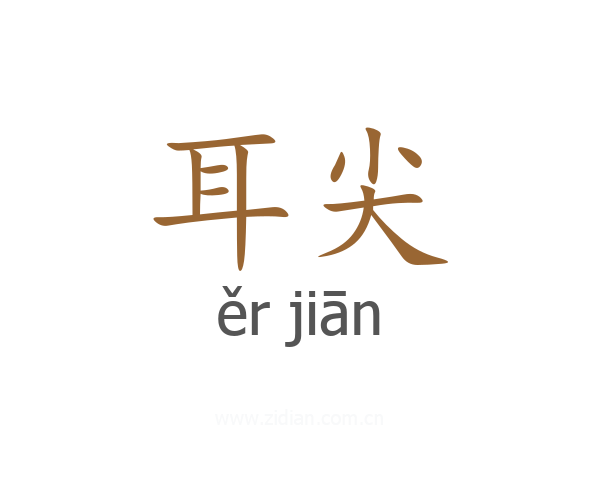 耳尖