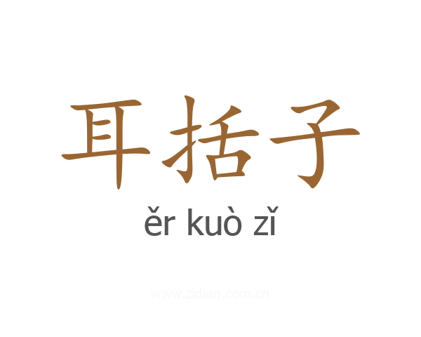 耳括子