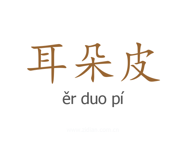 耳朵皮