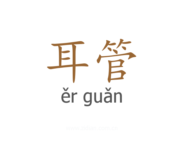 耳管