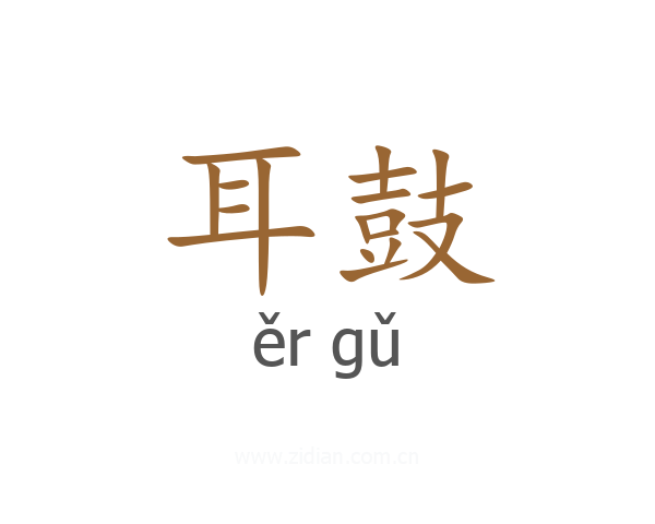 耳鼓