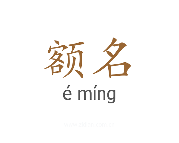 额名