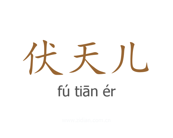 伏天儿