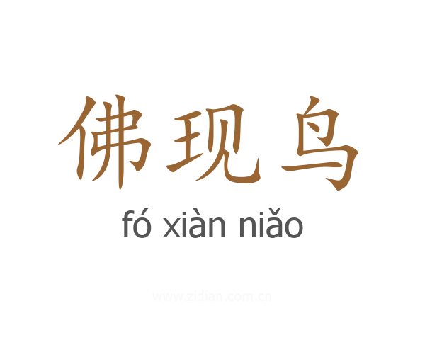 佛现鸟