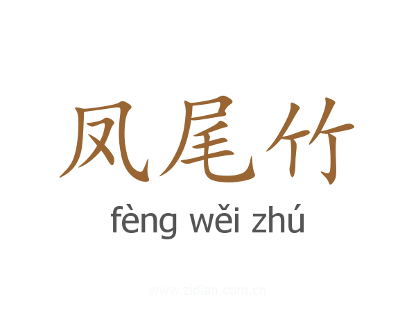 凤尾竹