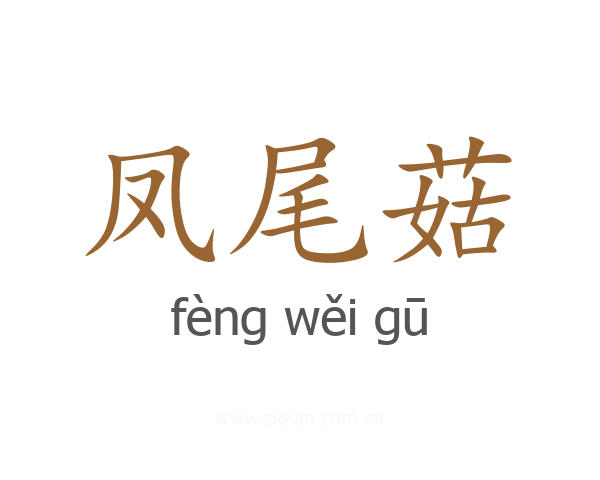 凤尾菇