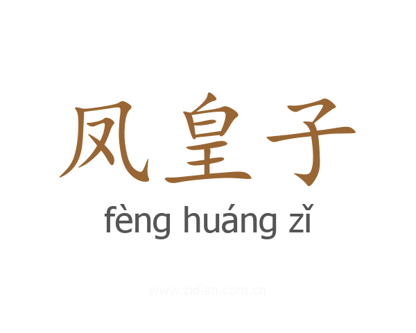 凤皇子