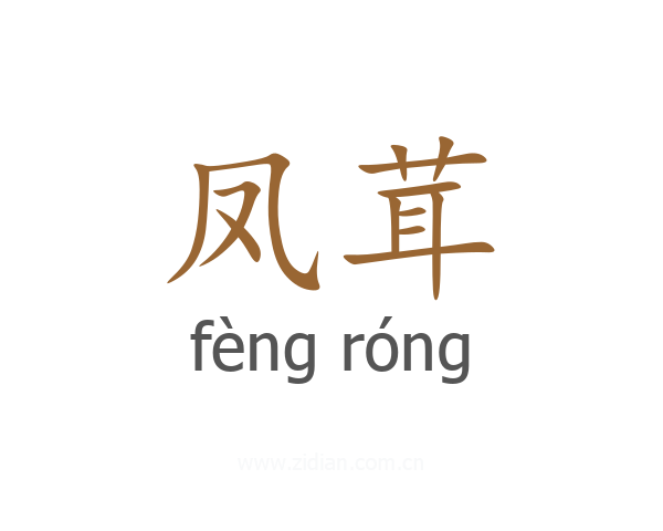 凤茸