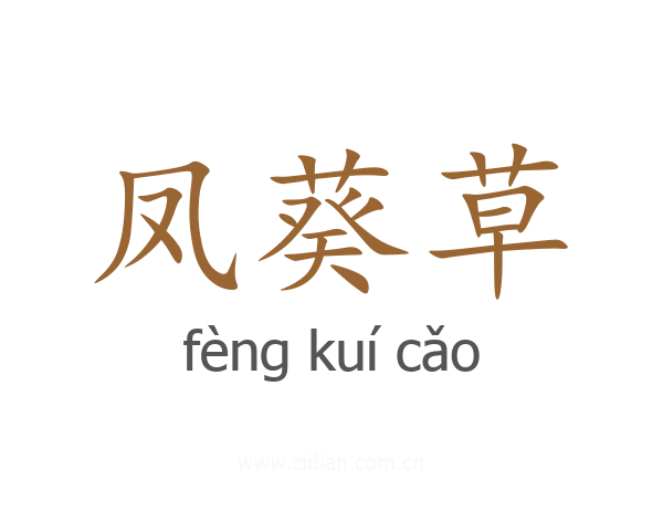 凤葵草