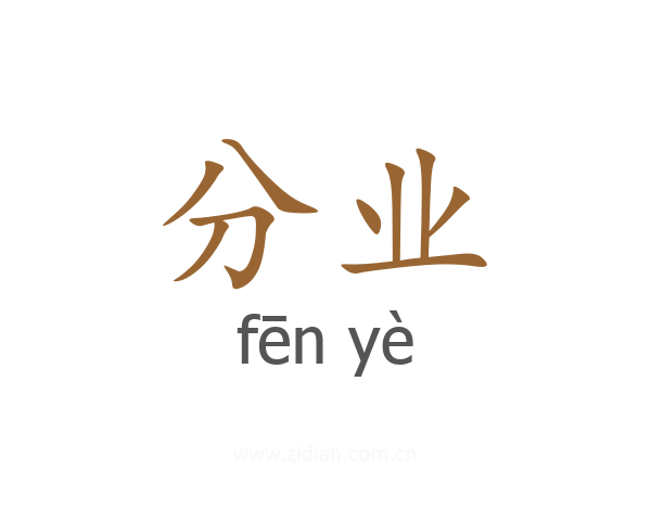 分业