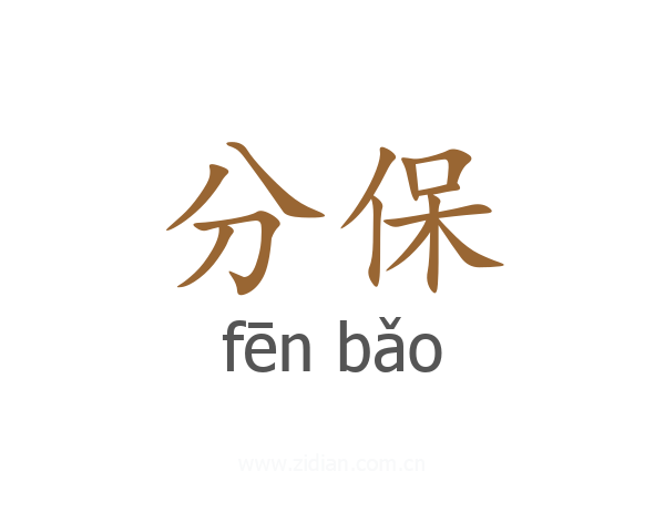 分保