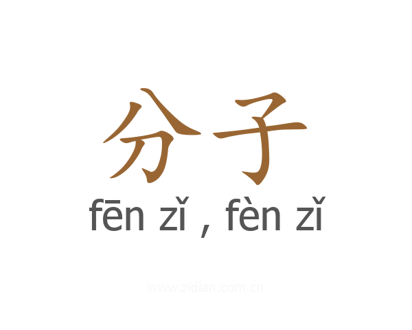 分子