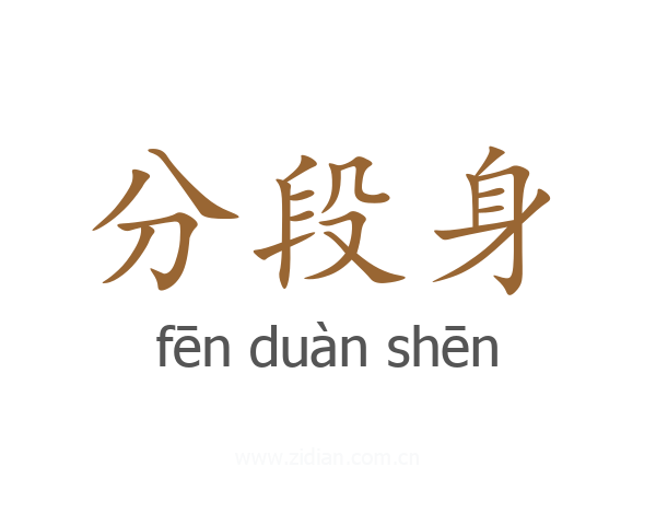 分段身