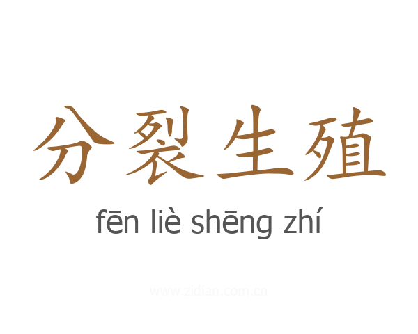 分裂生殖