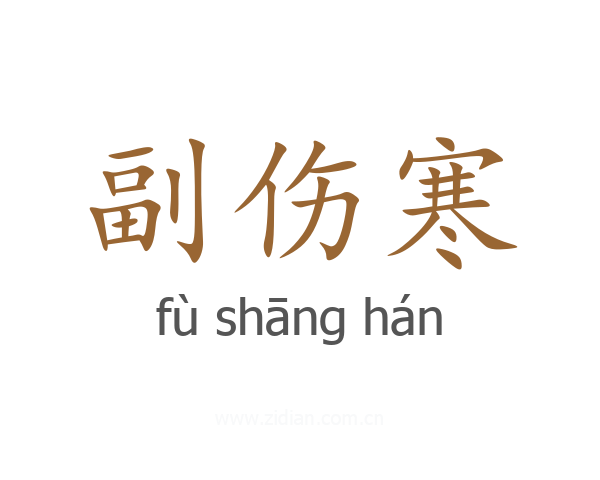 副伤寒
