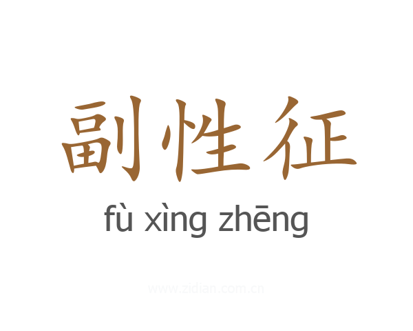 副性征