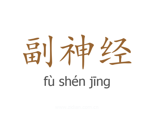 副神经