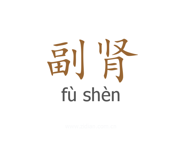 副肾