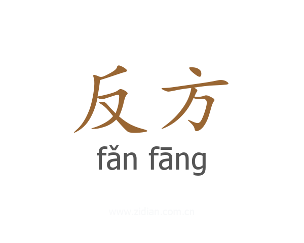 反方