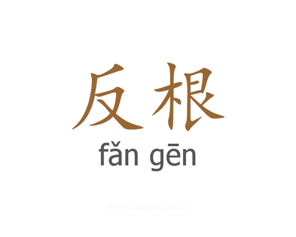 反根