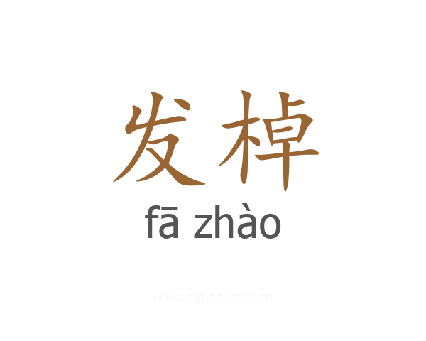 发棹